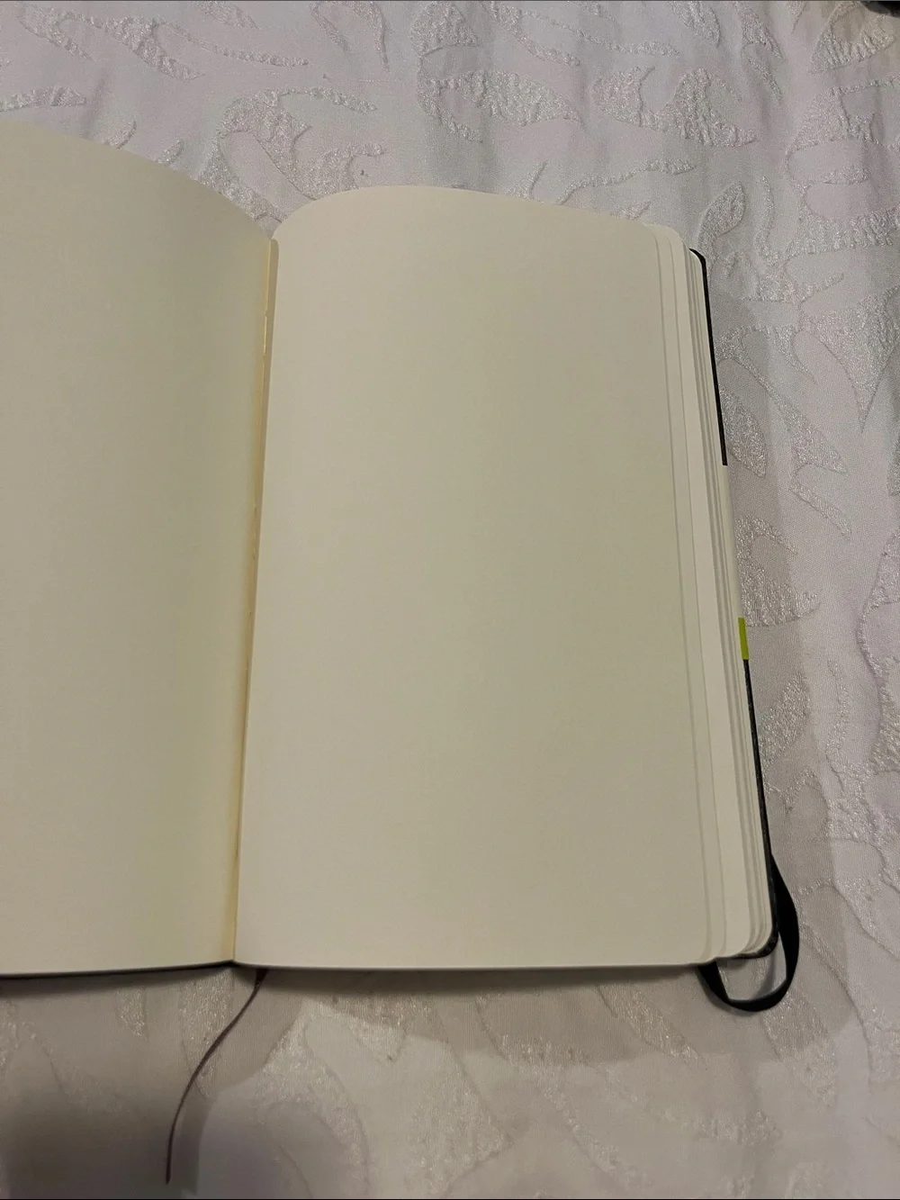 New! LOT of 3 Moleskine Classic Hard Cover Notebooks: Ruled, Plain, & Dotted